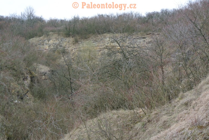 Čelechovice-RůžičkůvLom-18-03-2014-0005
