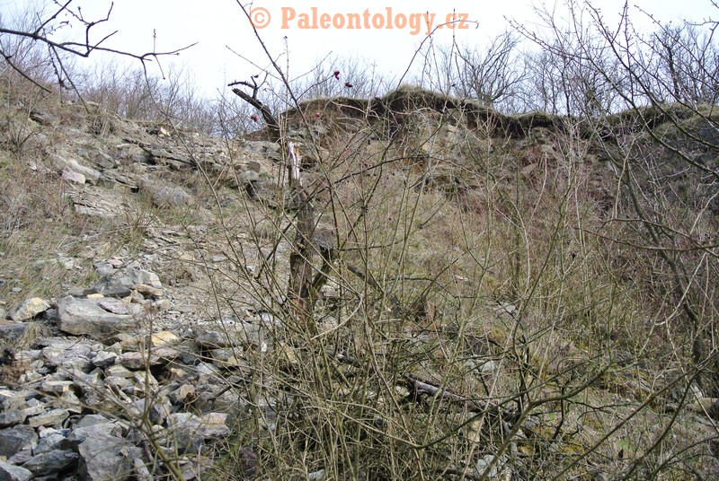 Čelechovice-RůžičkůvLom-18-03-2014-0019