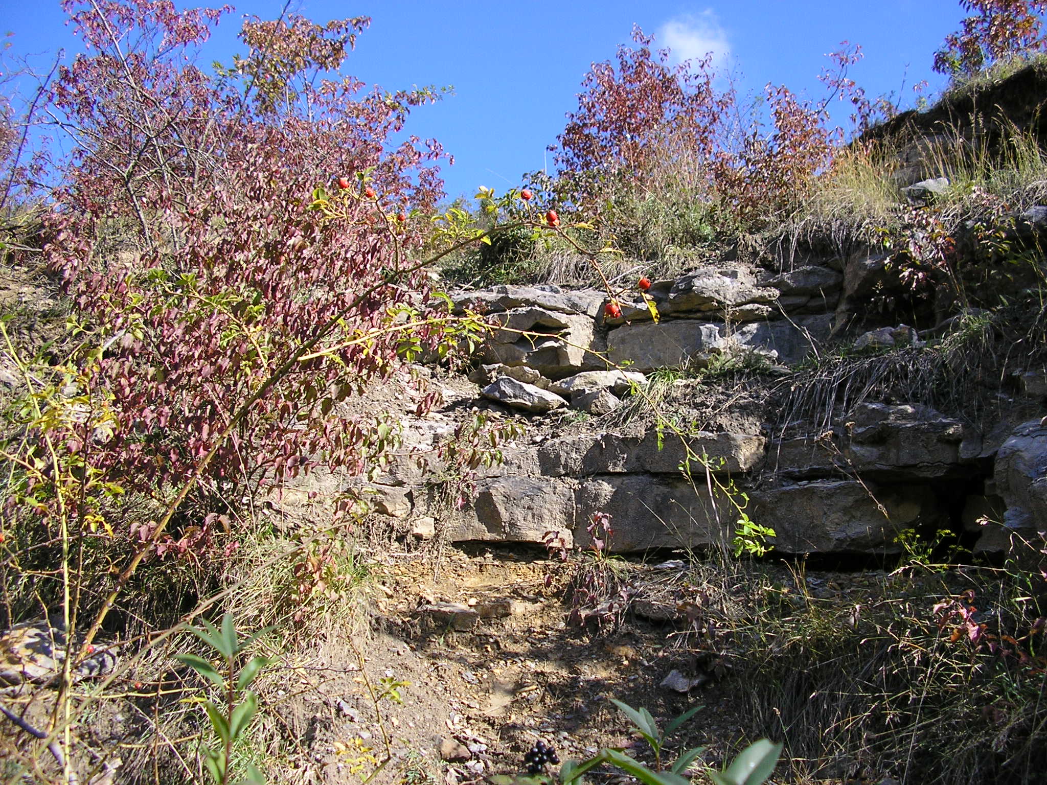 001 . Čelechovice na Hané-Růžičkův lom (001-A) - ČE-4, ČE-10 (levá - S - část) - detail (f2)