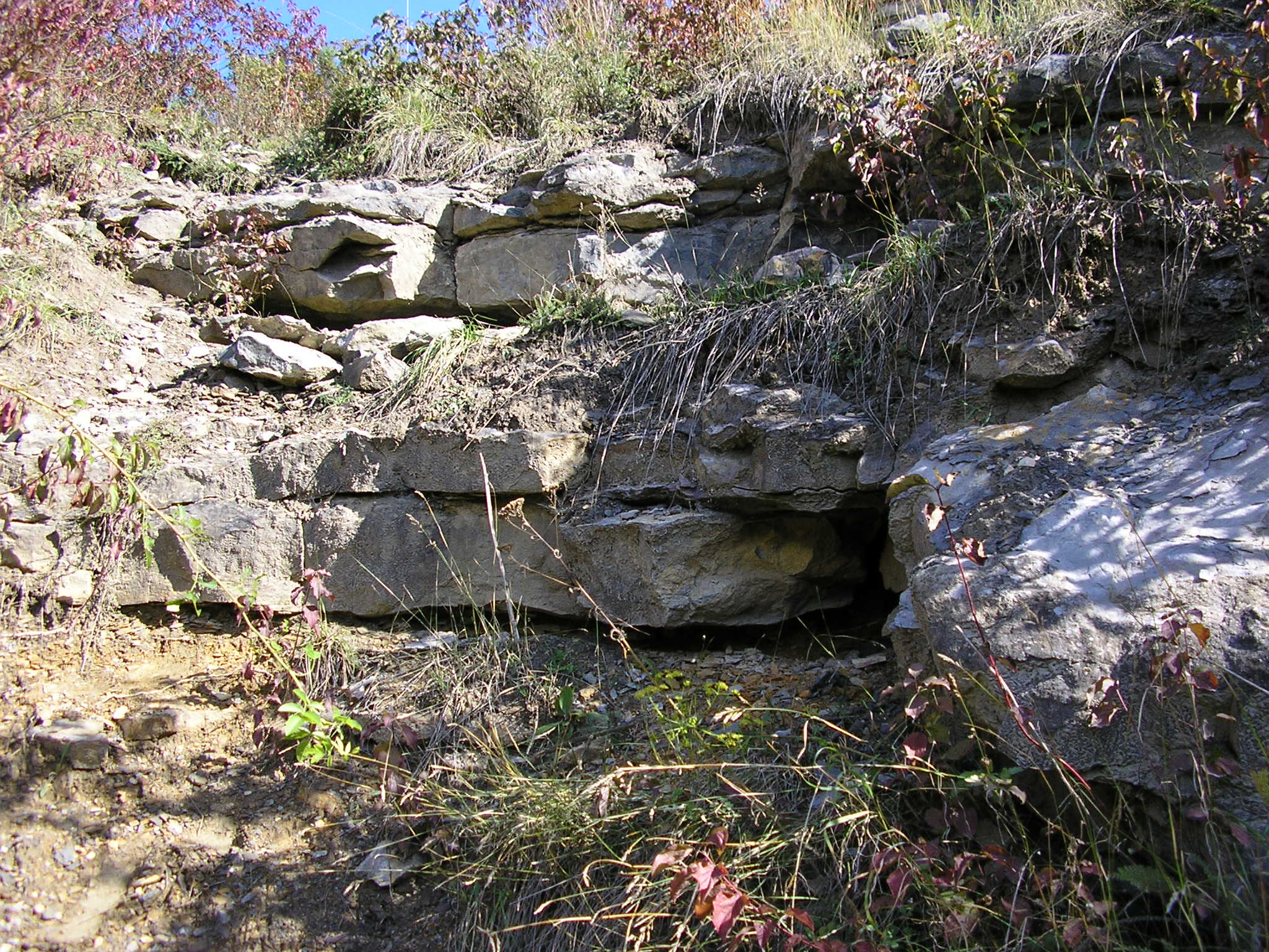 001 . Čelechovice na Hané-Růžičkův lom (001-A) - ČE-4, ČE-10 (levá - S - část) - detail (f3)