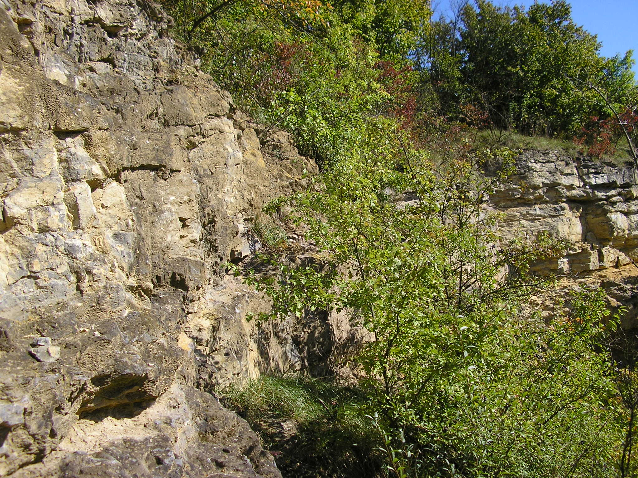 001 . Čelechovice na Hané-Růžičkův lom (001-A) - střední a V část S stěny (detail) - pohled od ČE-9