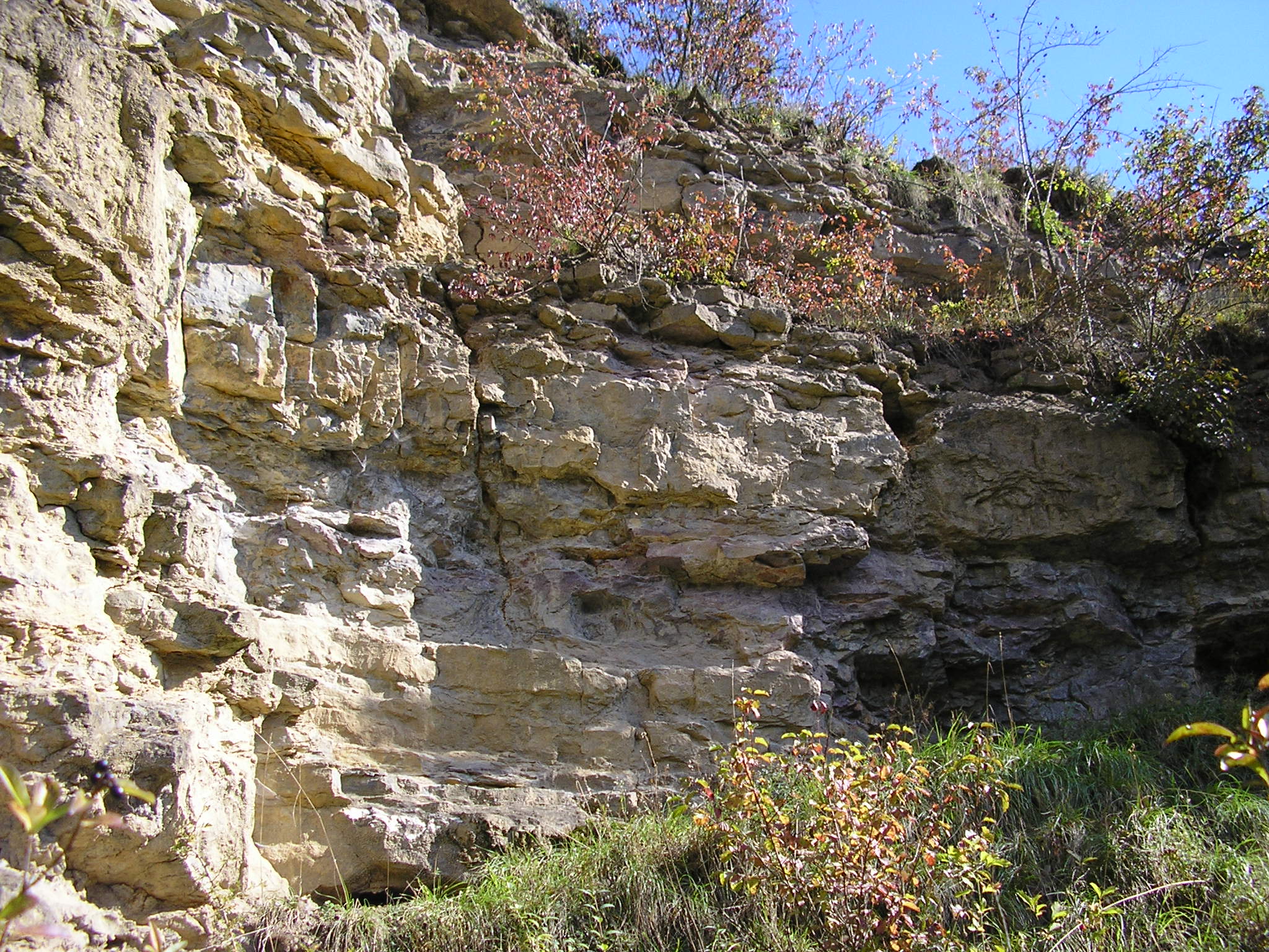 001 . Čelechovice na Hané-Růžičkův lom (001-A) - V část S stěny (detail) (f2)