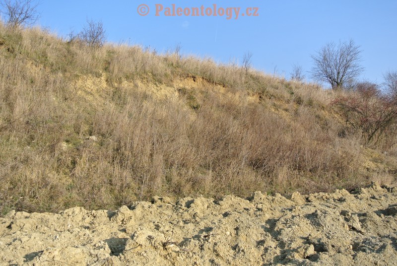 Mikulov-Kienberg-08-03-2014-0005