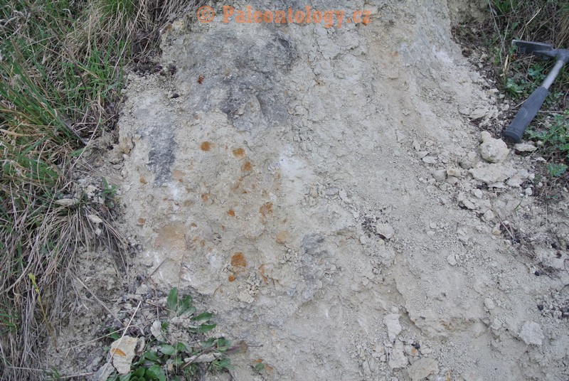 Mikulov-Kienberg-23-03-2014-0003