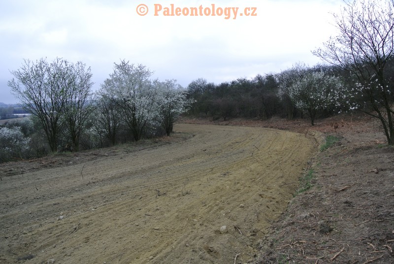Mikulov-Kienberg-23-03-2014-0009