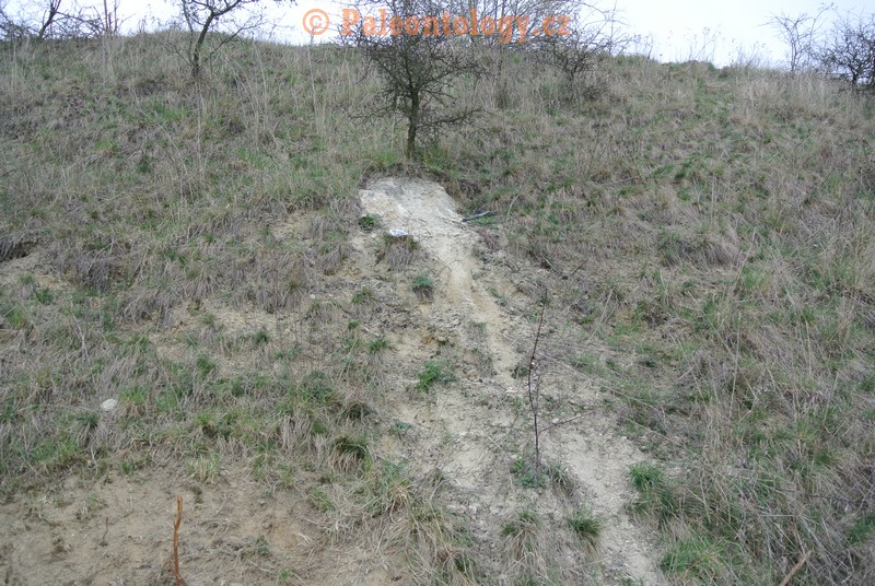 Mikulov-Kienberg-23-03-2014-0011