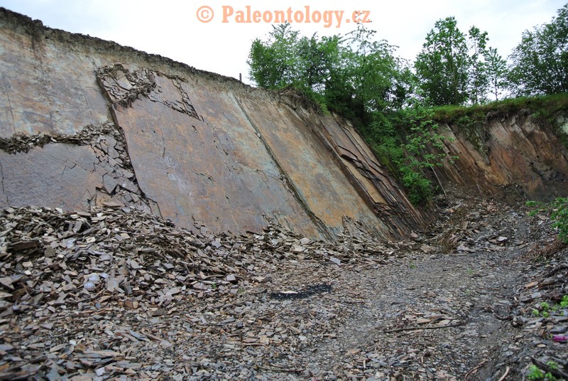Cermna-UCermne-05-2014-0004