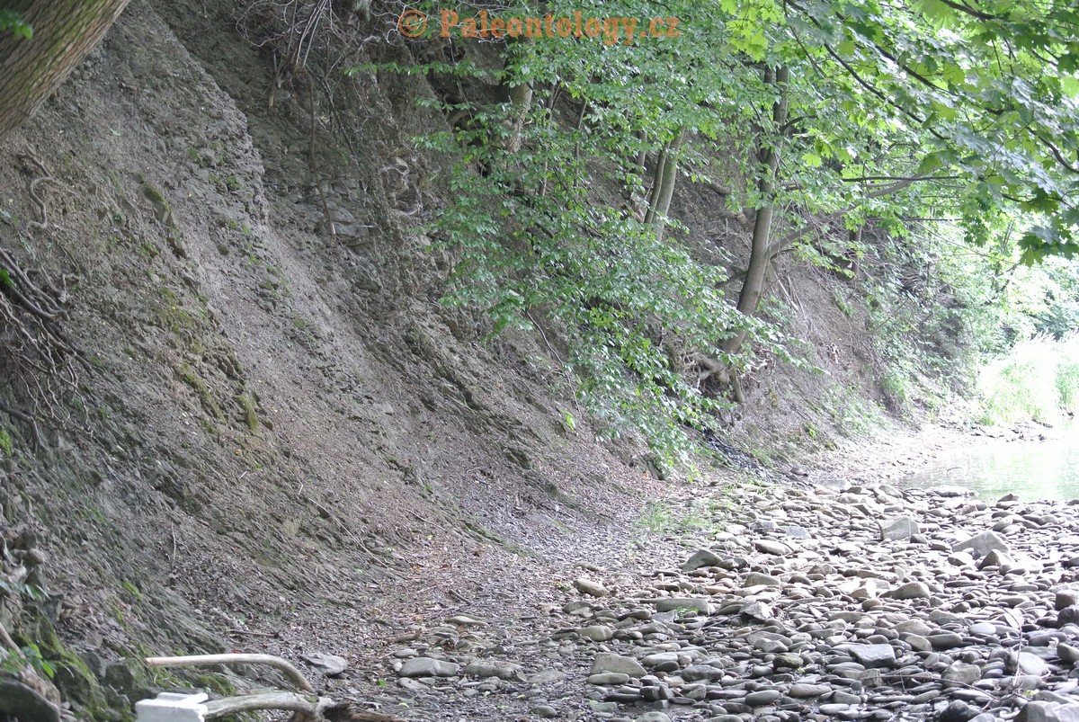 Vendryne-Vendrynka-13-6-2015-0001