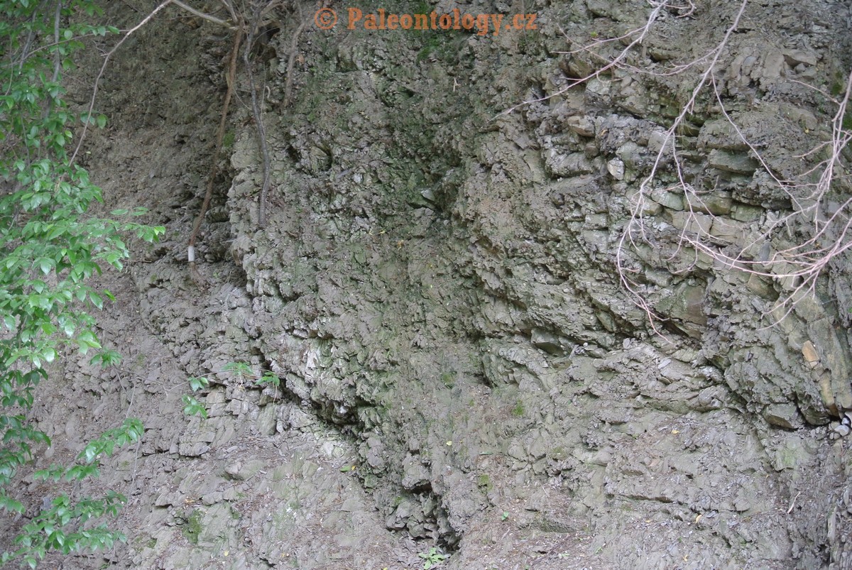 Vendryne-Vendrynka-13-6-2015-0003