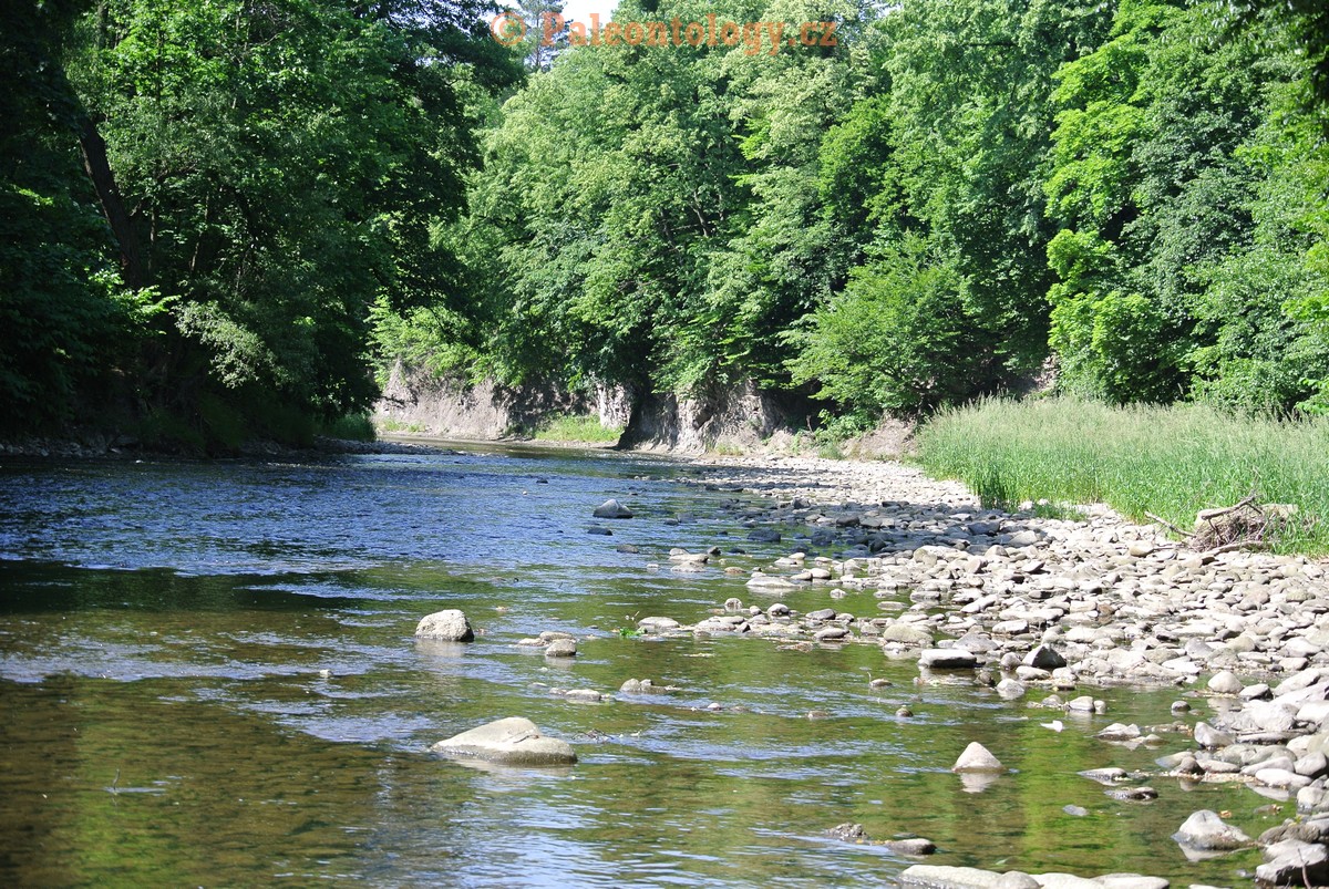 Vendryne-Vendrynka-13-6-2015-0015