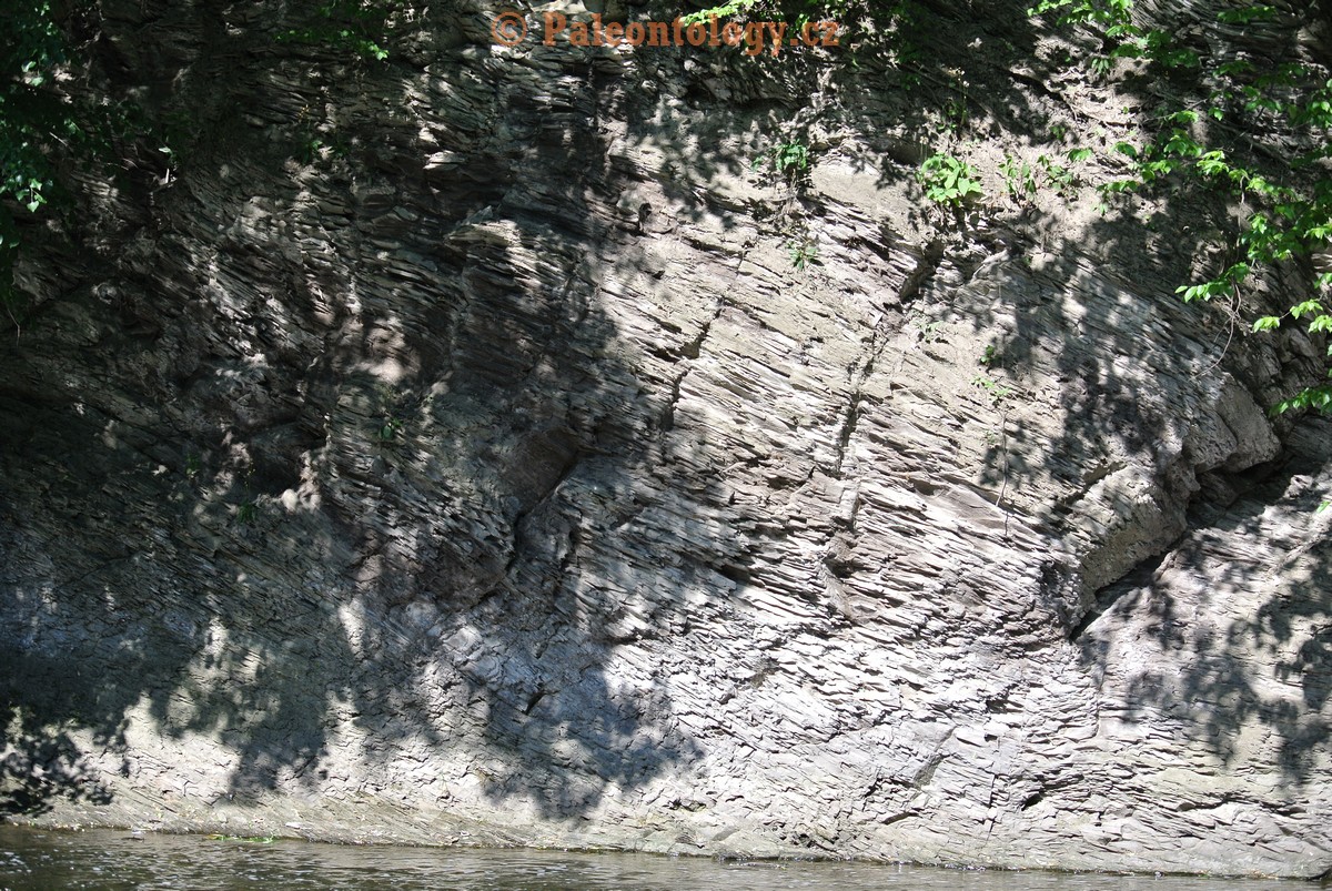 Vendryne-Vendrynka-13-6-2015-0024