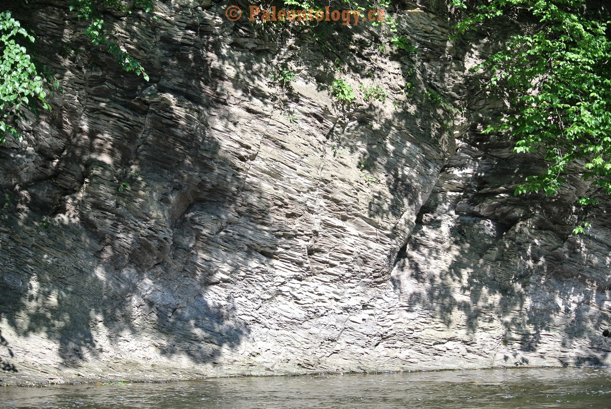 Vendryne-Vendrynka-13-6-2015-0026