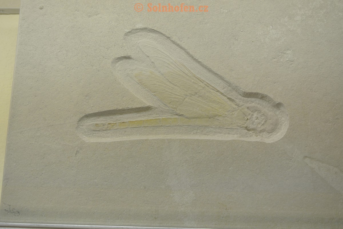 Museum-Berger-2013-0006