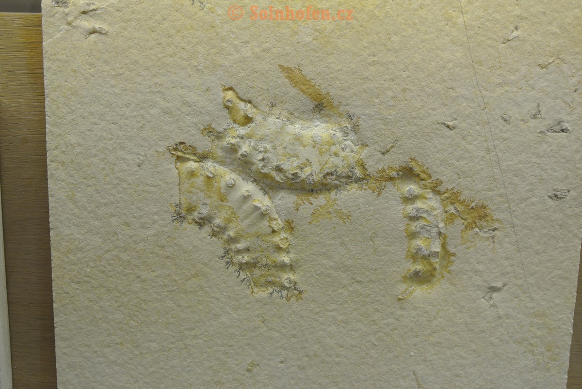 Museum-Berger-2013-0007