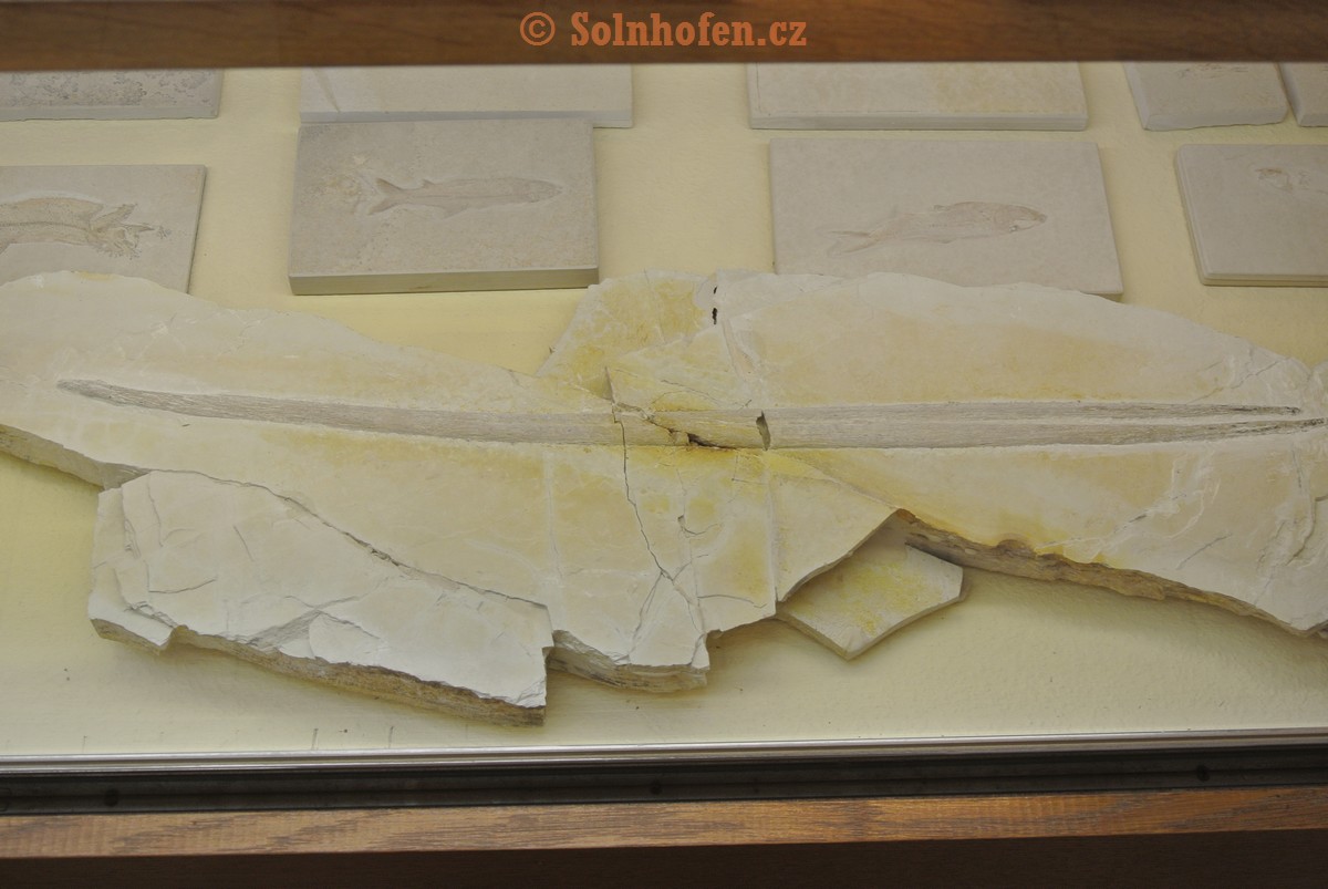 Museum-Berger-2013-0016