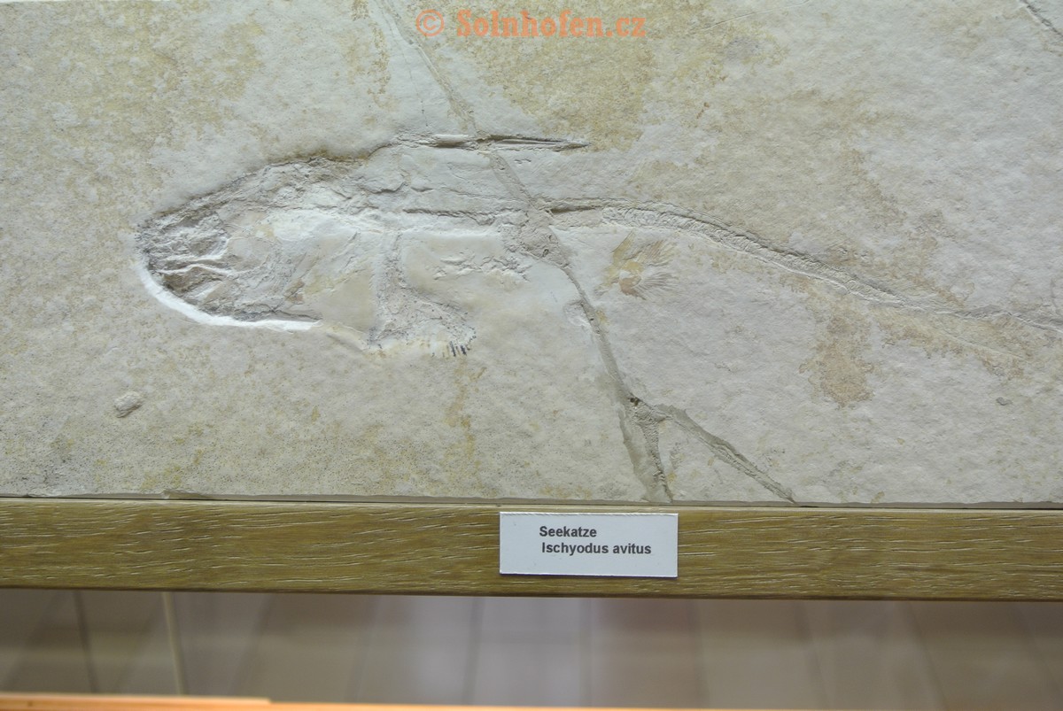 Museum-Berger-2013-0018