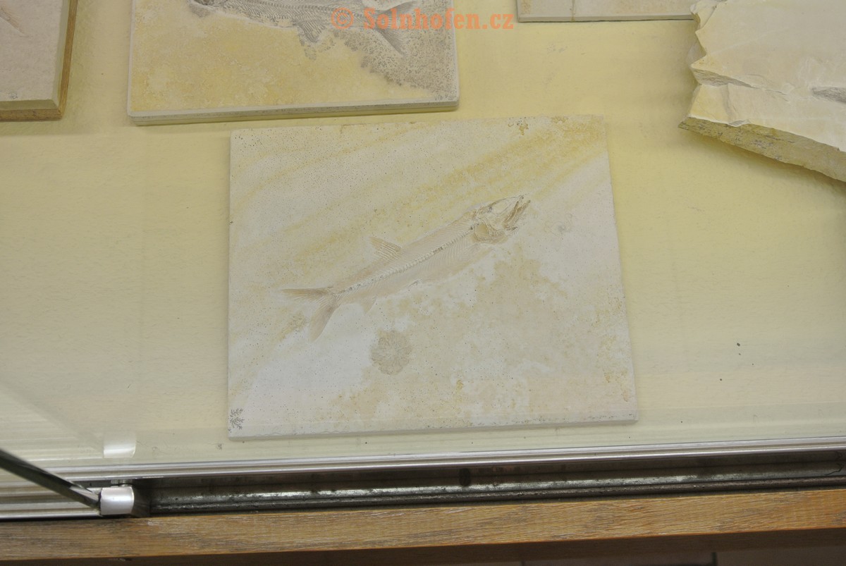 Museum-Berger-2013-0024