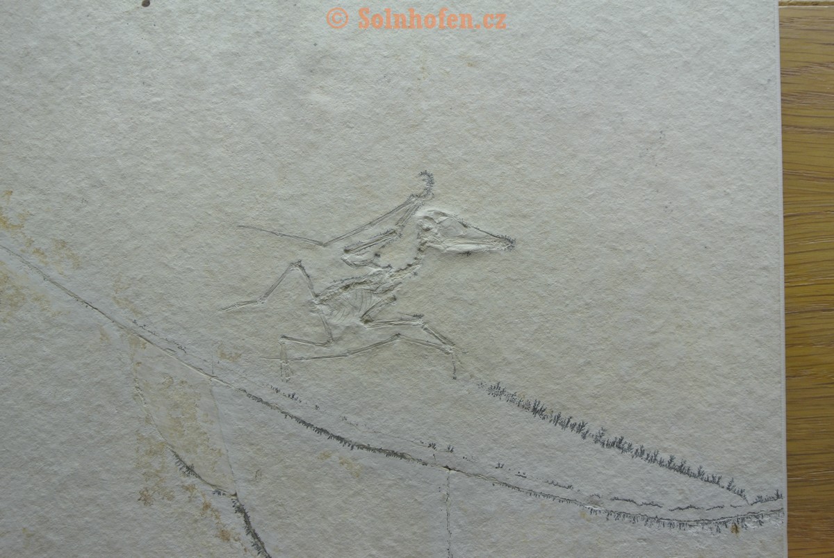 Museum-Berger-2013-0027