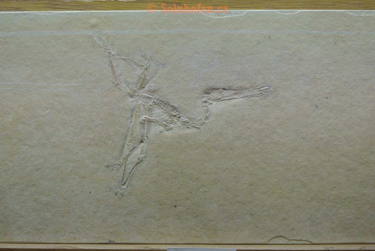 Museum-Berger-2013-0028