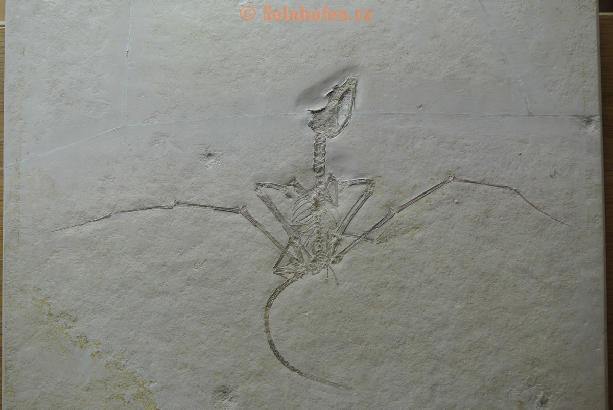Museum-Berger-2013-0029