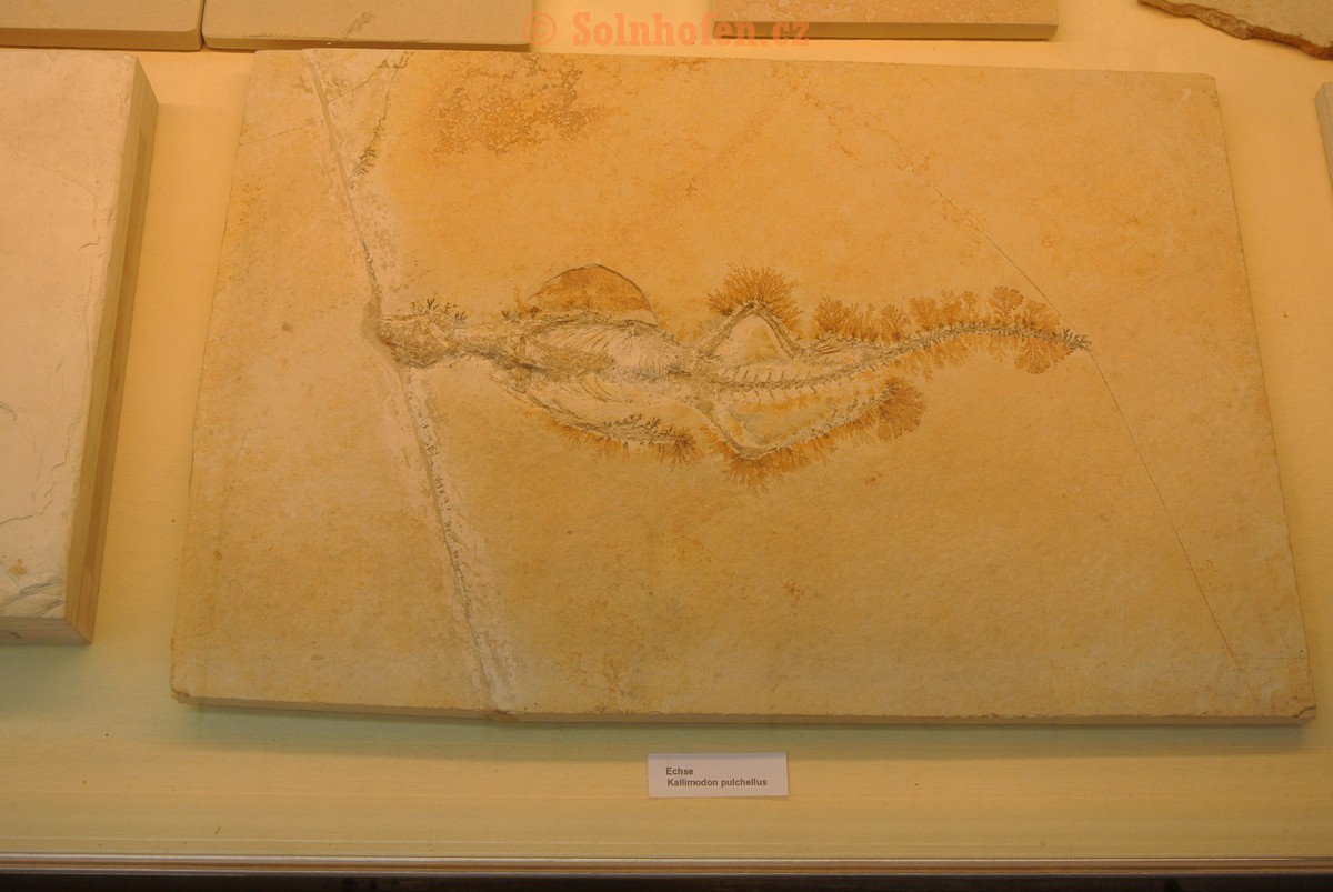 Museum-Berger-2013-0032