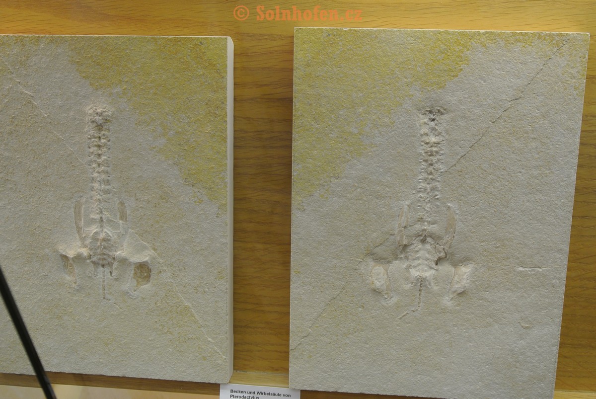 Museum-Berger-2013-0034
