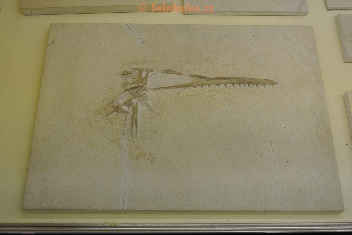 Museum-Berger-2013-0038