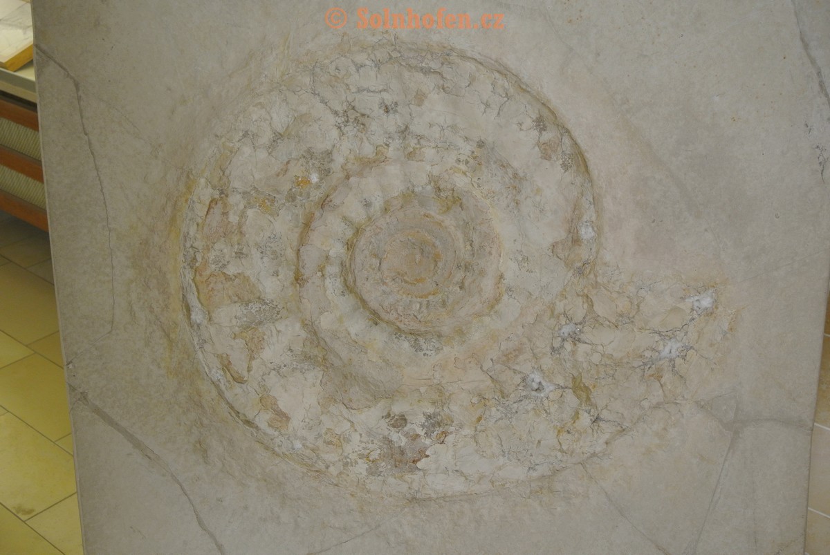 Museum-Berger-2013-0041