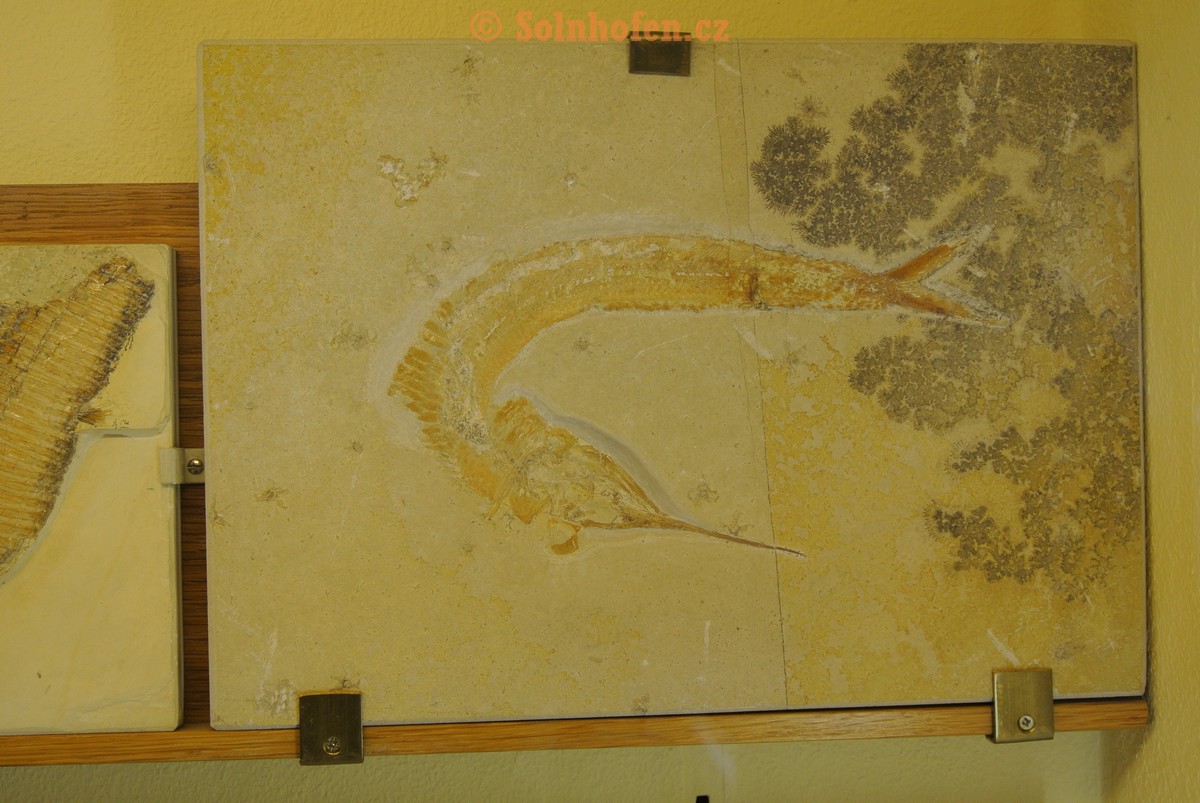 Museum-Berger-2013-0046
