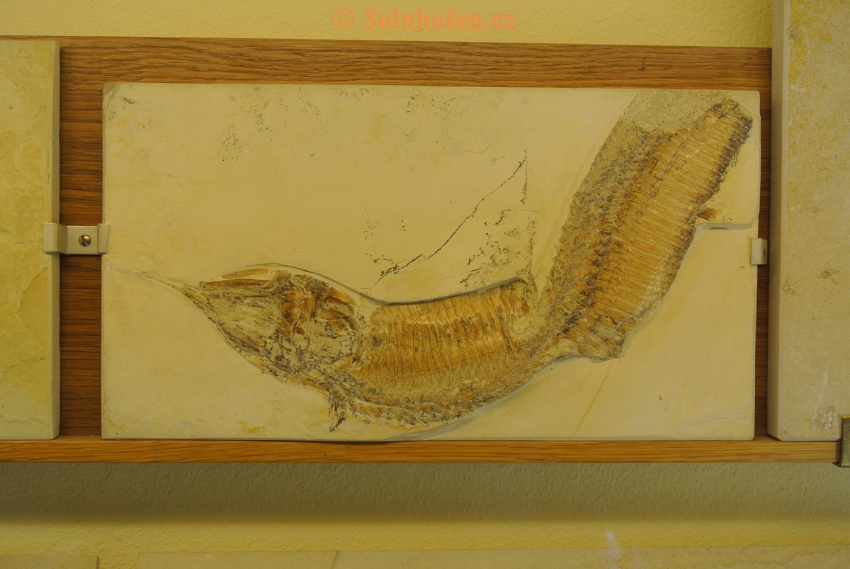Museum-Berger-2013-0047