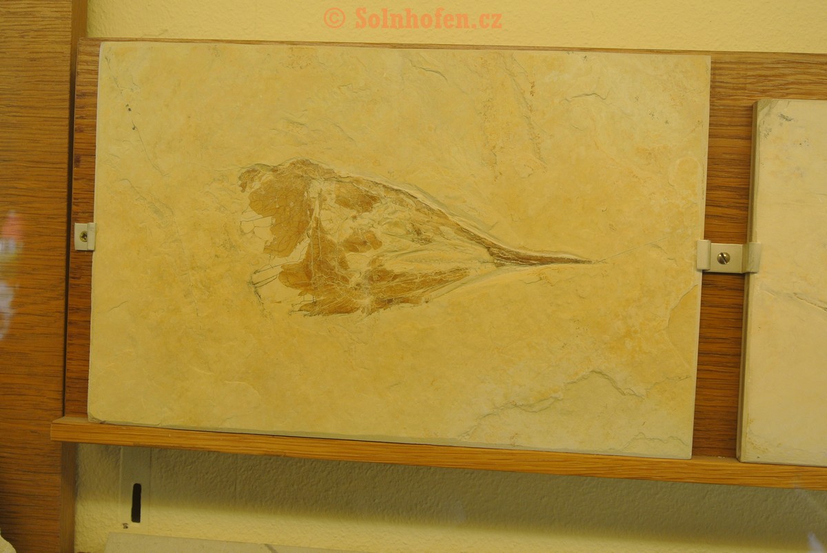 Museum-Berger-2013-0048