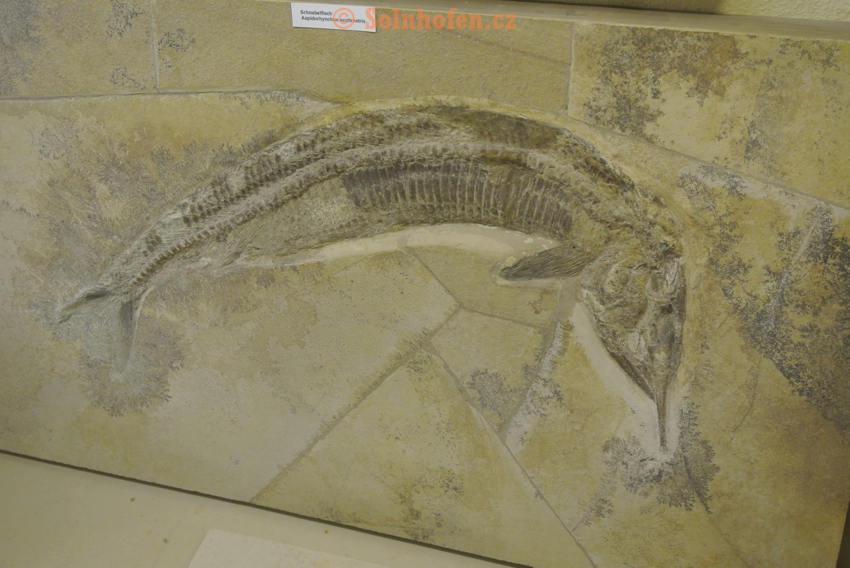 Museum-Berger-2013-0051