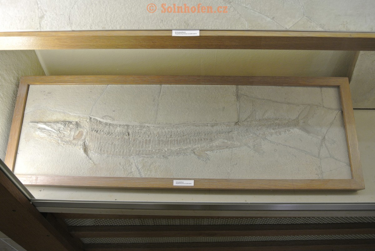 Museum-Berger-2013-0052