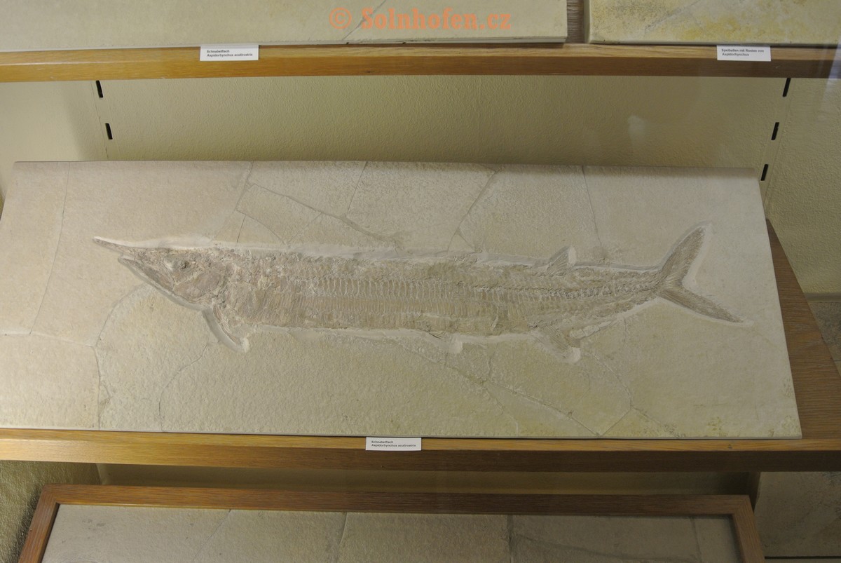 Museum-Berger-2013-0053