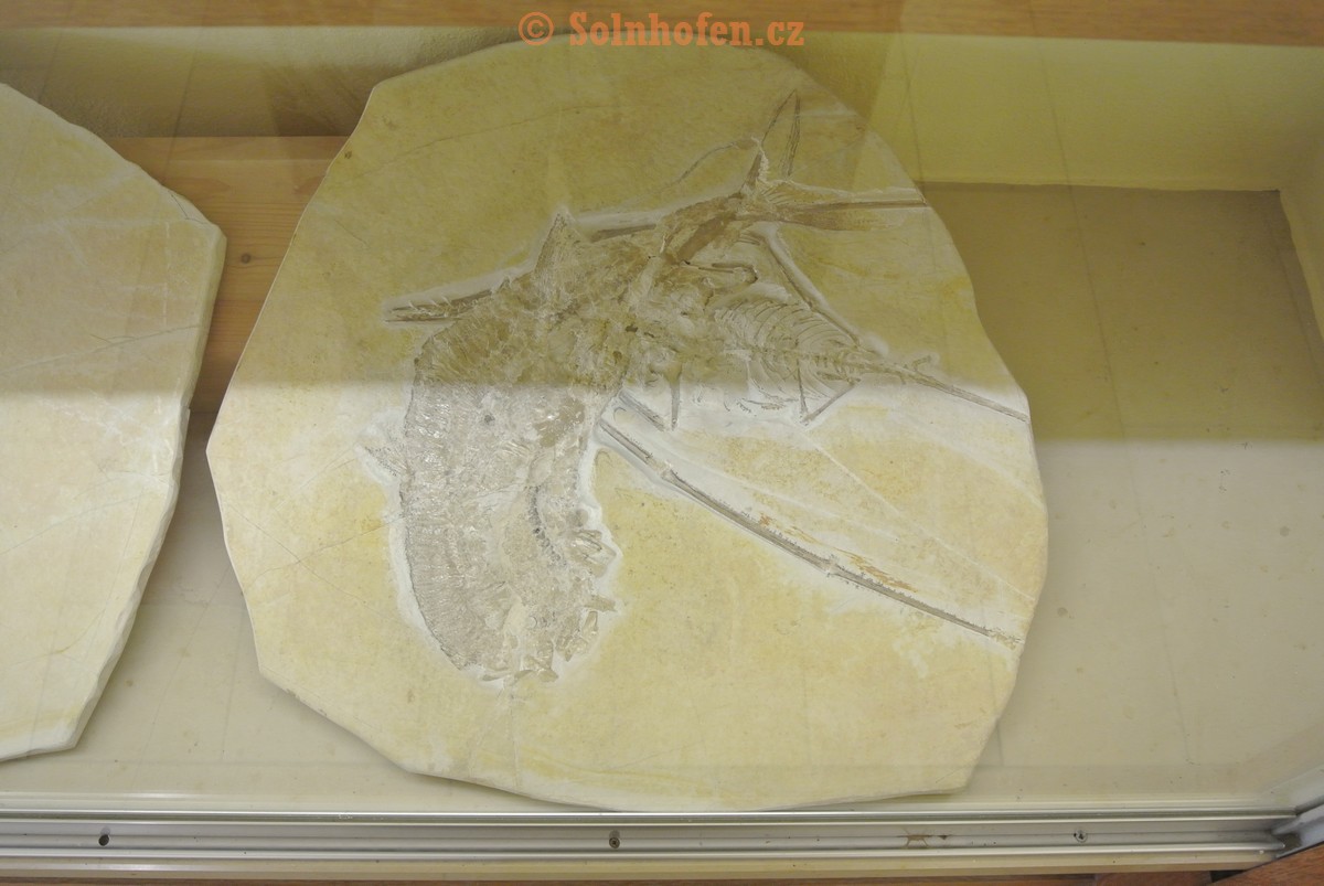 Museum-Berger-2013-0055