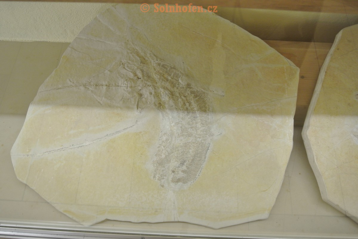 Museum-Berger-2013-0056