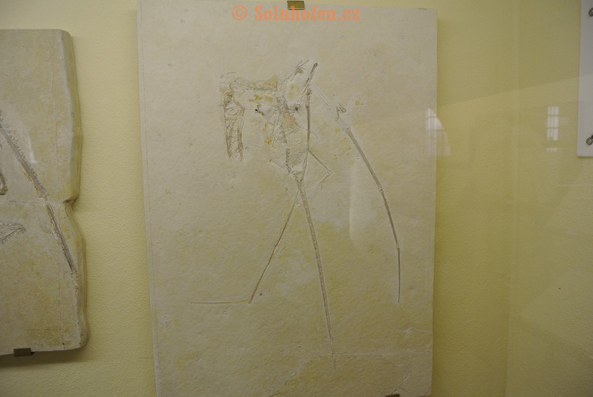 Museum-Berger-2013-0059