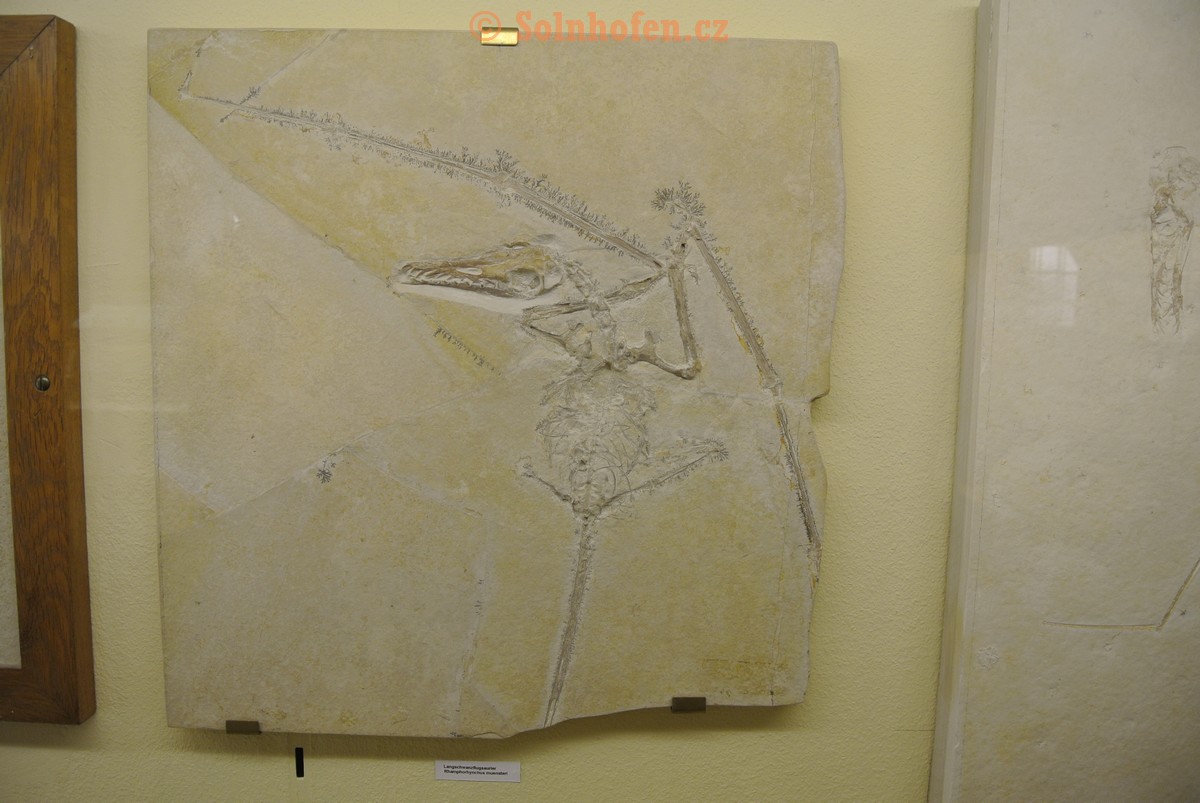 Museum-Berger-2013-0060