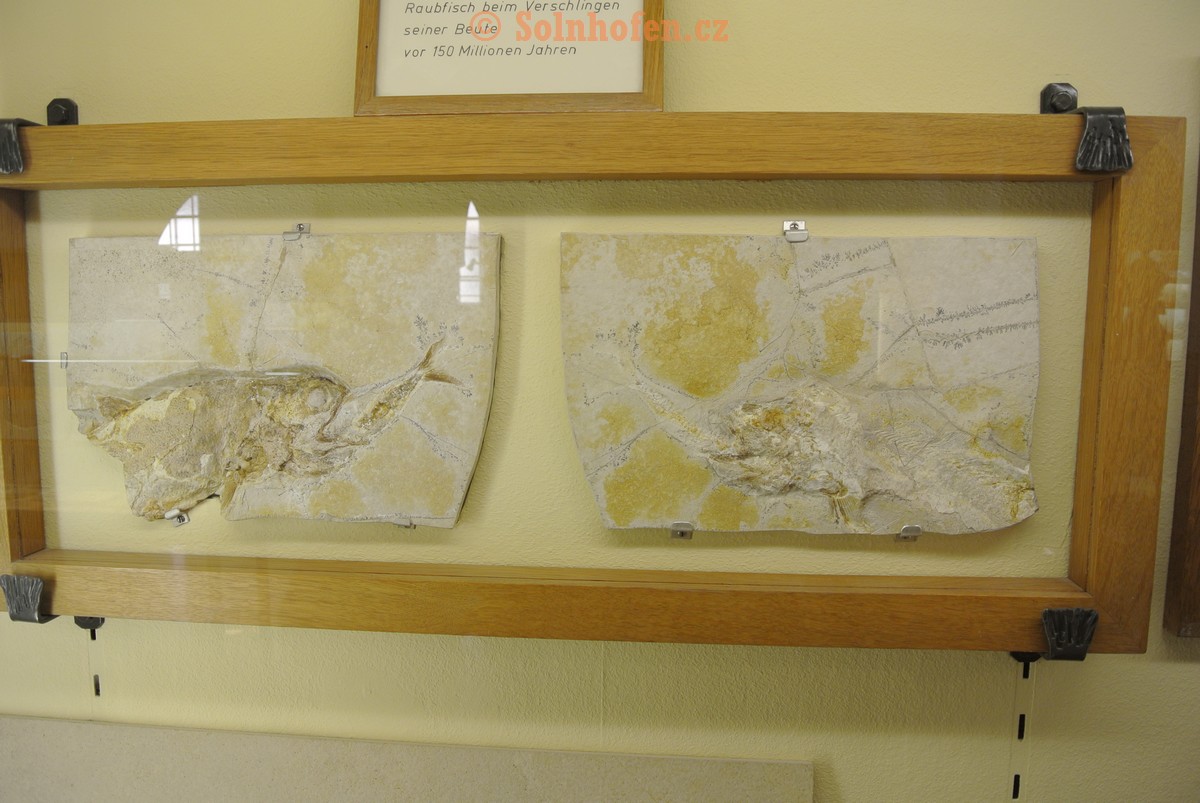 Museum-Berger-2013-0062