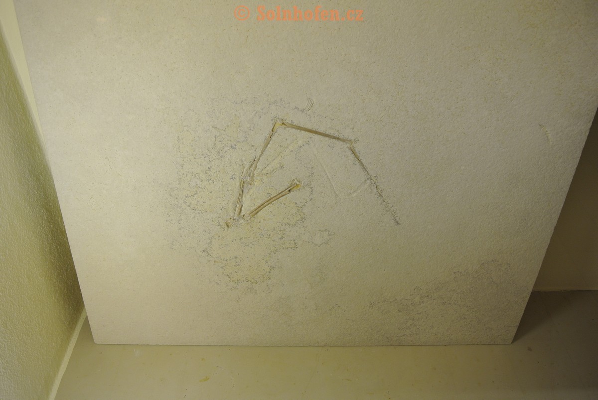 Museum-Berger-2013-0063