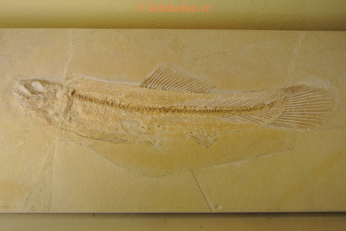 Museum-Berger-2013-0071