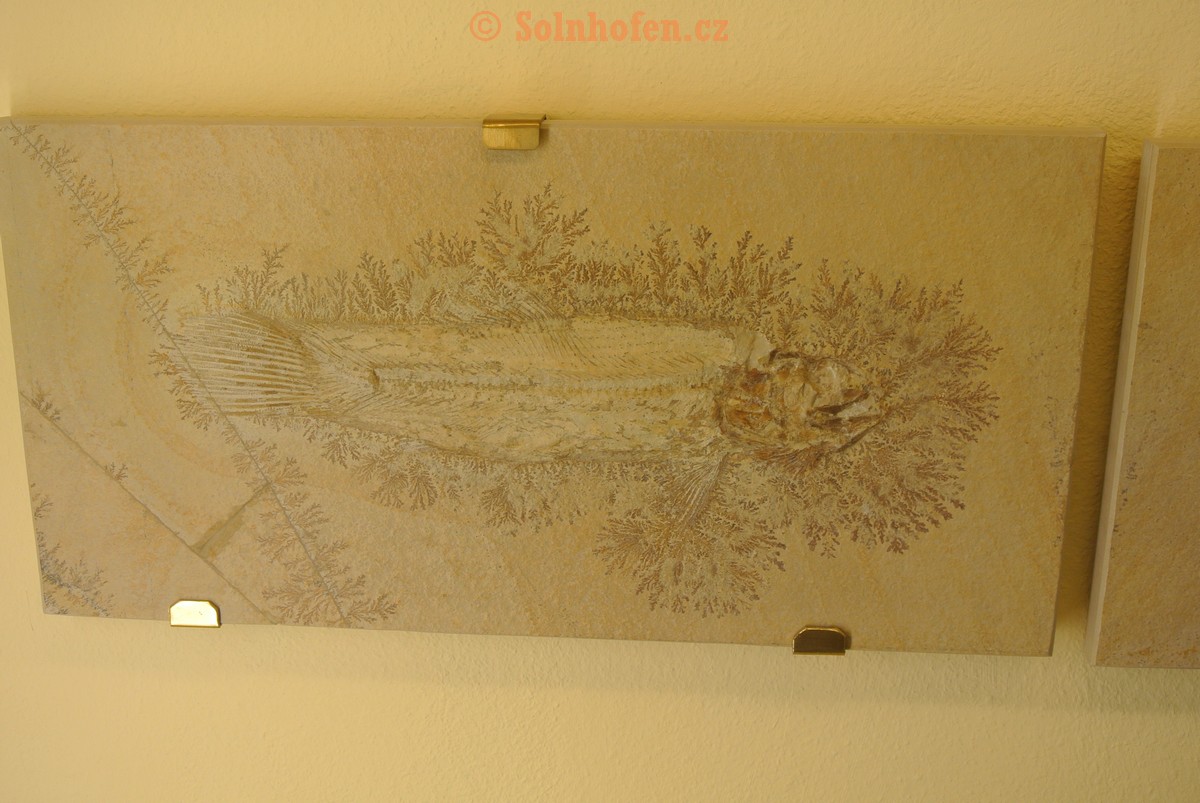 Museum-Berger-2013-0072