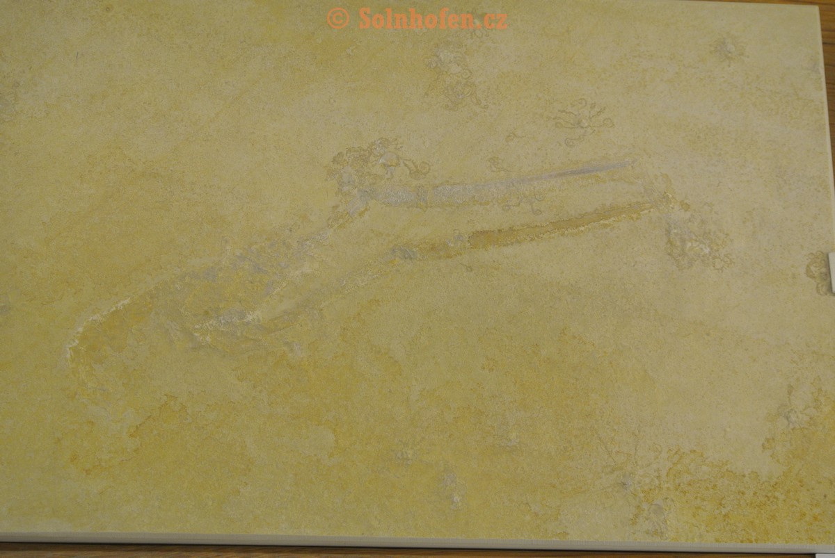 Museum-Berger-2013-0075