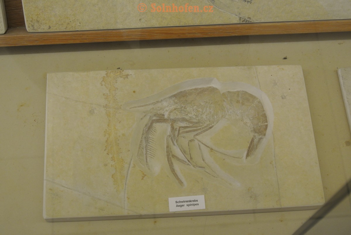 Museum-Berger-2013-0081