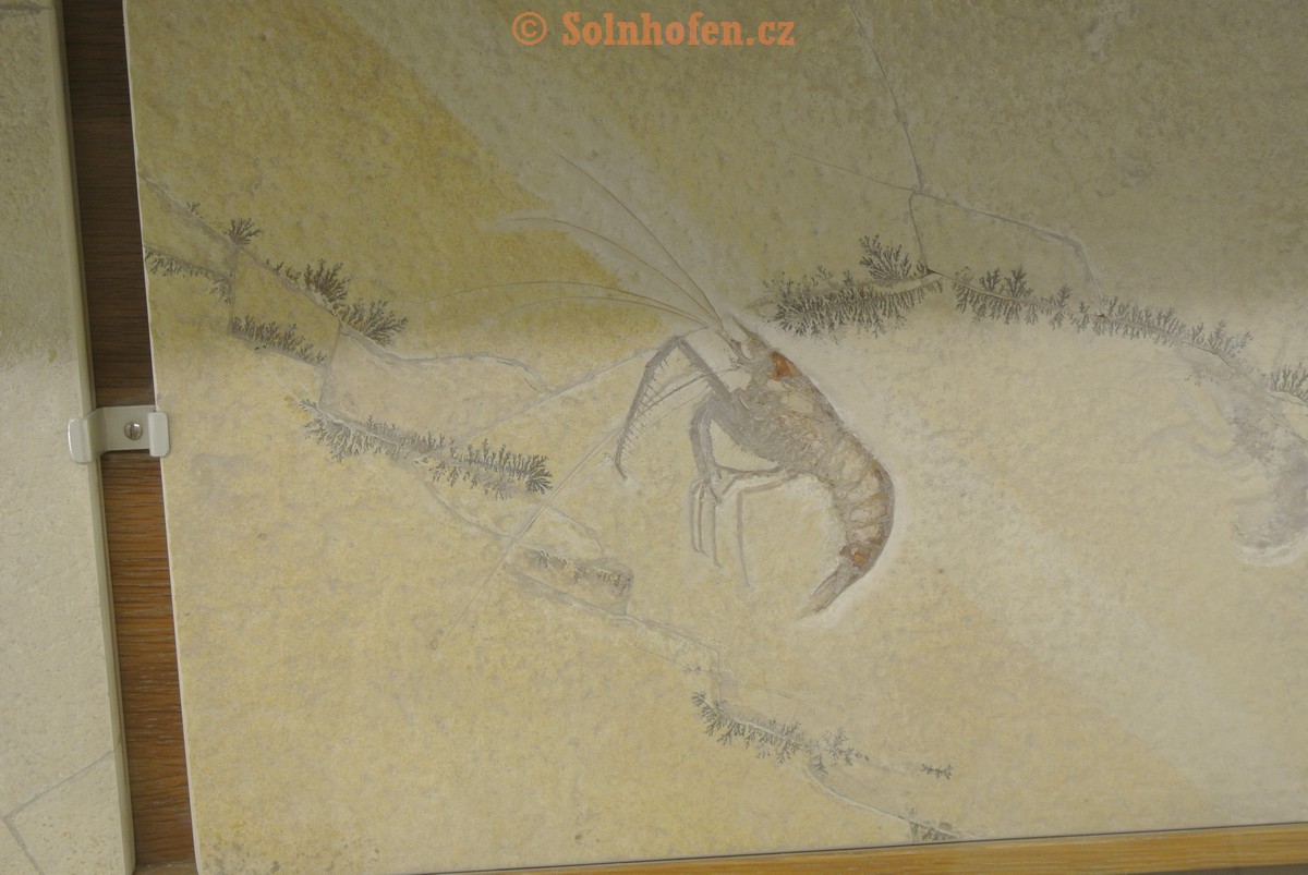 Museum-Berger-2013-0082