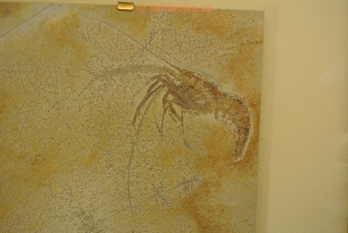 Museum-Berger-2013-0084