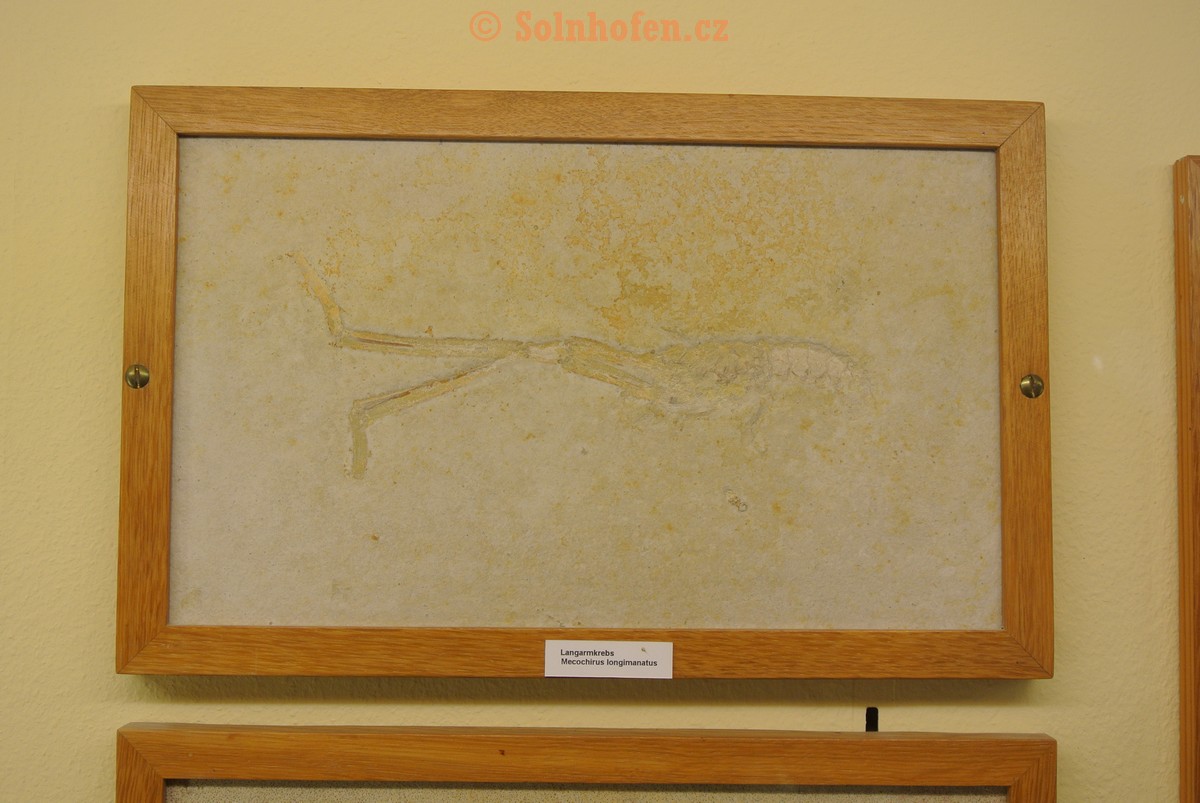 Museum-Berger-2013-0085