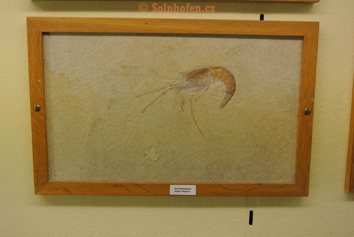 Museum-Berger-2013-0086