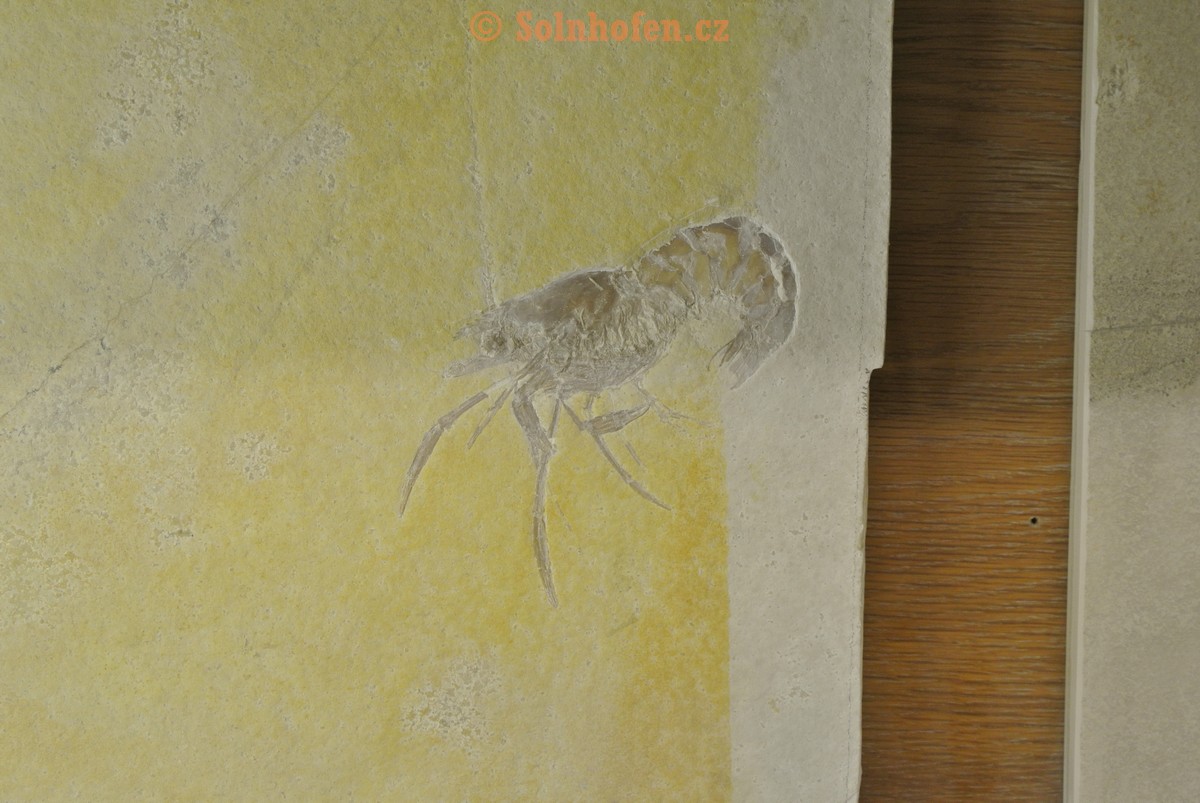 Museum-Berger-2013-0089