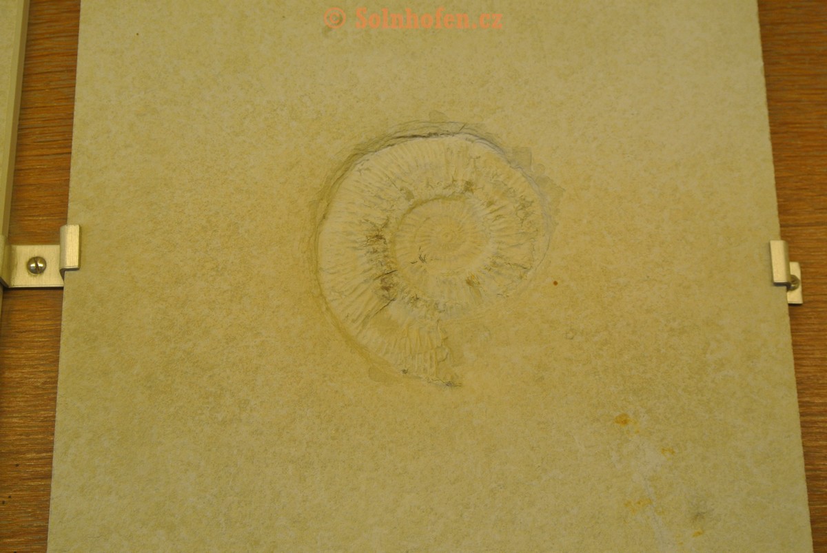 Museum-Berger-2013-0094